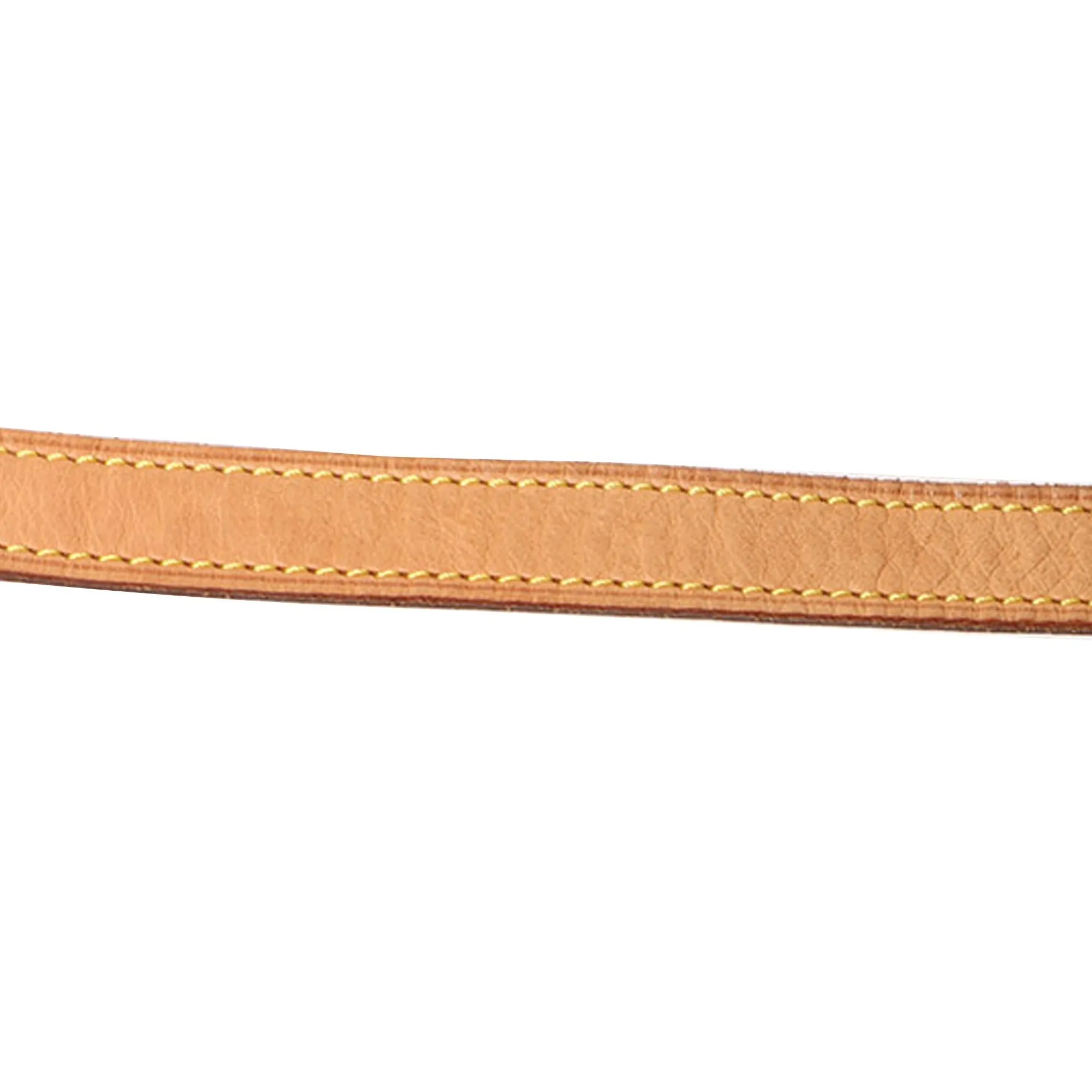 Louis Vuitton Monogram Sac Tambourine (SHG-TjENKR)